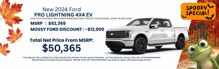 Ford F-150 Pro Lightning Special