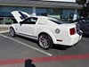 5 thumbnail image of  2009 Ford Mustang Shelby GT500