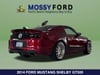 5 thumbnail image of  2014 Ford Mustang Shelby GT500