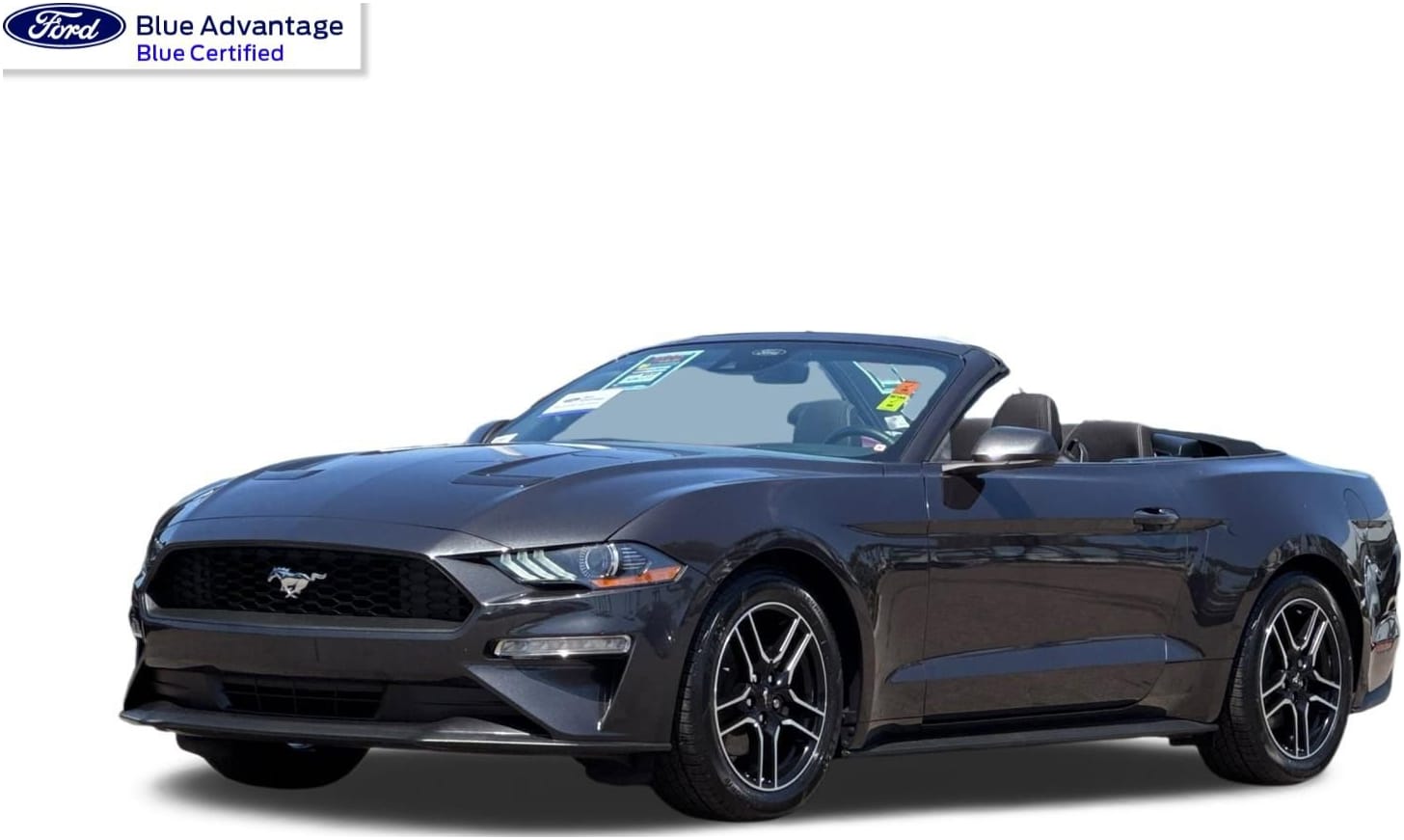 2023 Ford Mustang EcoBoost Convertible's photo