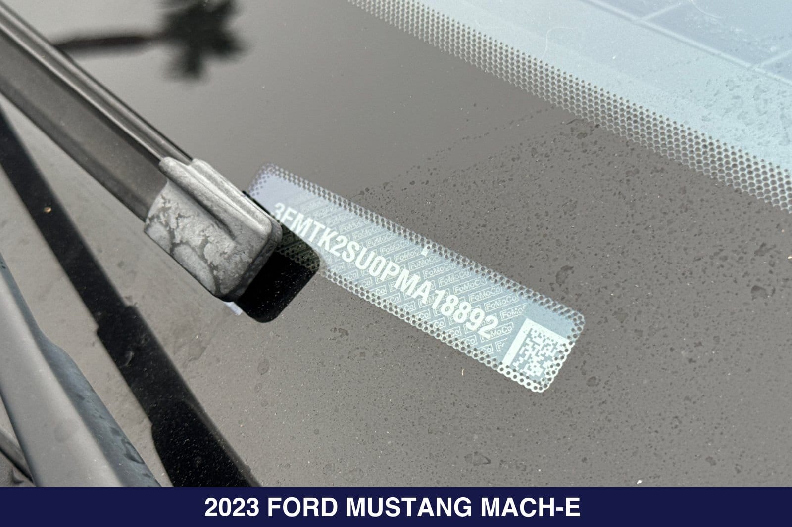 Used 2023 Ford Mustang Mach-E California Route 1 AWD with VIN 3FMTK2SU0PMA18892 for sale in San Diego, CA