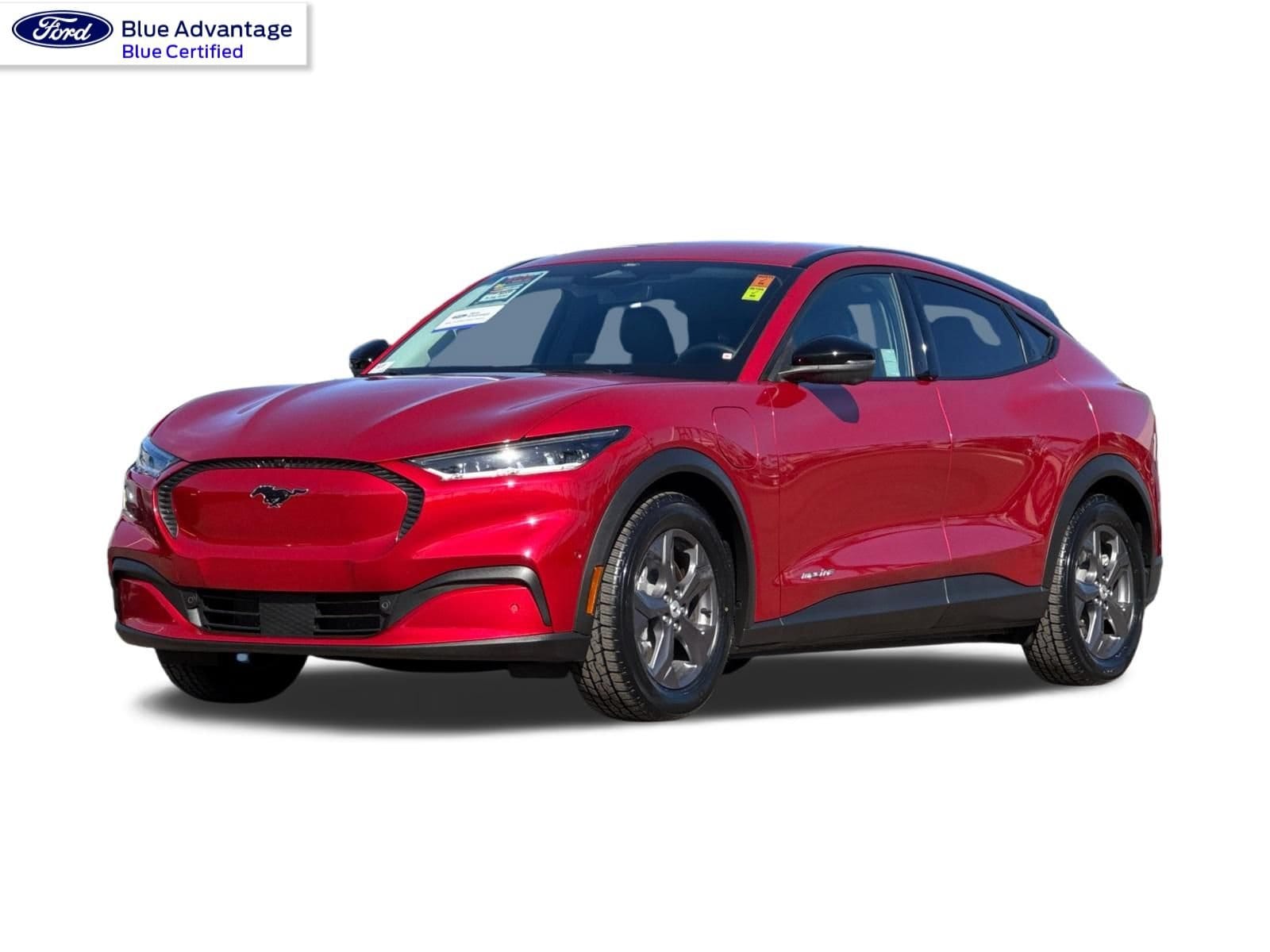 1 thumbnail image of  2023 Ford Mustang Mach-E Select