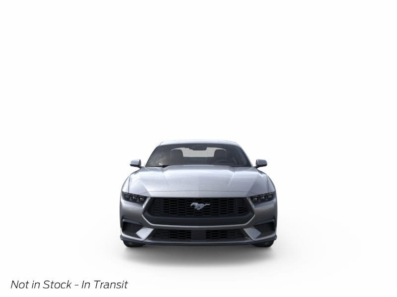 6 thumbnail image of  2026 Ford Mustang EcoBoost
