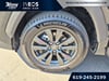 10 thumbnail image of  2026 Toyota RAV4 XLE Premium