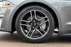 26 thumbnail image of  2022 Ford Mustang EcoBoost