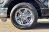 26 thumbnail image of  2025 Ford F-150 XLT