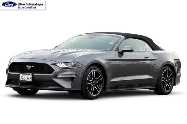 2022 Ford Mustang EcoBoost's photo