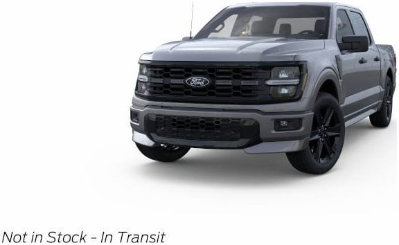 2025 Ford F-150 STX's photo