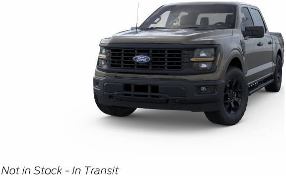 2025 Ford F-150 STX's photo