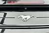 26 thumbnail image of  2021 Ford Mustang EcoBoost