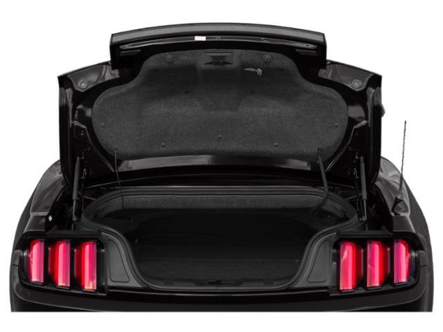 13 thumbnail image of  2015 Ford Mustang GT Premium