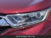 10 thumbnail image of  2019 Honda CR-V EX