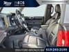 13 thumbnail image of  2024 Ford Bronco Badlands