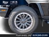 10 imagen en miniatura de 2025 INEOS Grenadier Station Wagon Fieldmaster Edition