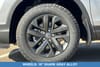 30 thumbnail image of  2026 Honda Ridgeline Sport