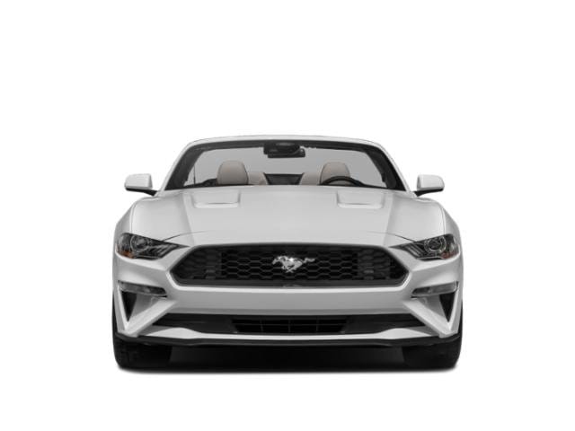 4 imagen en miniatura de 2022 Ford Mustang EcoBoost