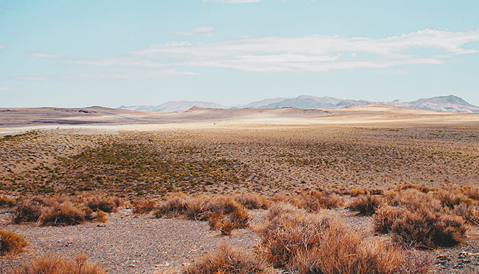 Ocotillo Wells landscape