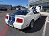 6 thumbnail image of  2009 Ford Mustang Shelby GT500