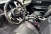 12 thumbnail image of  2019 Ford Mustang