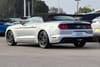 9 thumbnail image of  2019 Ford Mustang