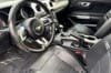 11 thumbnail image of  2019 Ford Mustang EcoBoost Premium