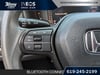 17 thumbnail image of  2023 Honda Accord EX