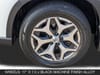 11 thumbnail image of  2023 Subaru Forester Premium