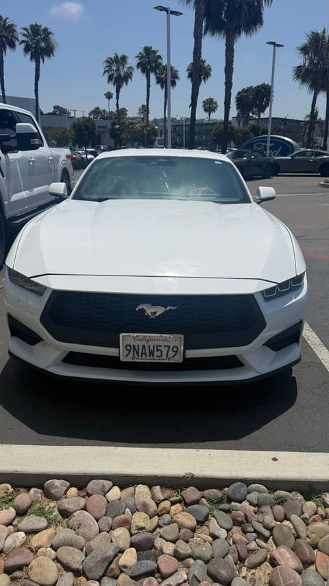 1 image of 2024 Ford Mustang EcoBoost