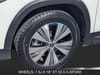 11 thumbnail image of  2024 Mercedes-Benz EQB EQB 250+