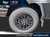 10 thumbnail image of  2026 INEOS Grenadier Quartermaster Black Edition