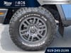 10 thumbnail image of  2026 INEOS Grenadier Station Wagon Fieldmaster Edition