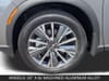11 thumbnail image of  2027 INFINITI QX60 LUXE