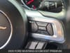 17 thumbnail image of  2020 Ford Mustang EcoBoost Premium