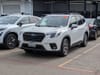 1 thumbnail image of  2023 Subaru Forester Premium