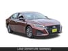 2 thumbnail image of  2025 Nissan Altima SV