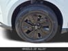 11 thumbnail image of  2025 Nissan Murano SV
