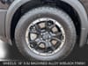 11 thumbnail image of  2025 Nissan Pathfinder Rock Creek