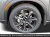 12 thumbnail image of  2026 INFINITI QX60 Autograph