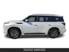 5 thumbnail image of  2026 INFINITI QX80 LUXE