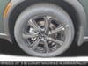 11 thumbnail image of  2027 INFINITI QX60 Autograph