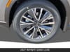 11 thumbnail image of  2027 INFINITI QX60 LUXE