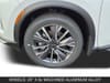 11 thumbnail image of  2027 INFINITI QX60 LUXE