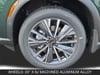 11 thumbnail image of  2027 INFINITI QX60 LUXE