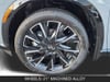 11 thumbnail image of  2027 INFINITI QX65 AUTOGRAPH