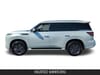 2027 INFINITI QX80 PURE