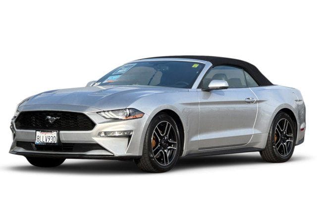 1 thumbnail image of  2019 Ford Mustang EcoBoost Premium