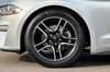 26 thumbnail image of  2019 Ford Mustang EcoBoost Premium