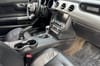 16 thumbnail image of  2019 Ford Mustang EcoBoost Premium