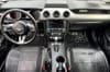 14 thumbnail image of  2019 Ford Mustang EcoBoost Premium