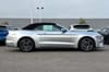4 thumbnail image of  2019 Ford Mustang EcoBoost Premium
